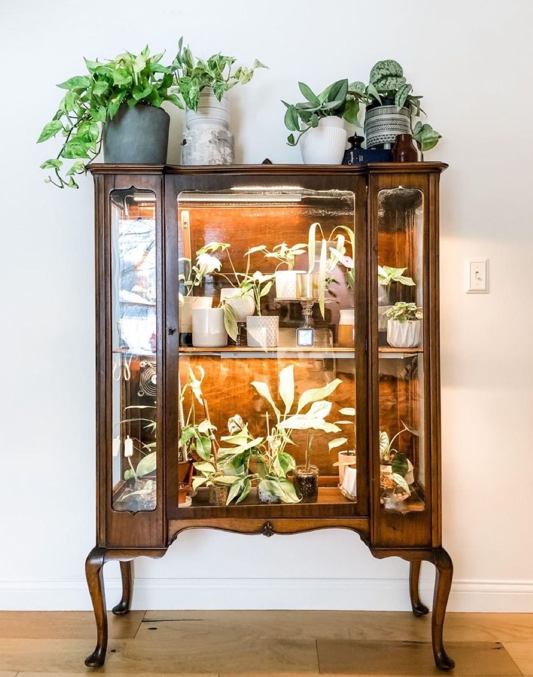 دکوراسیون بوفه