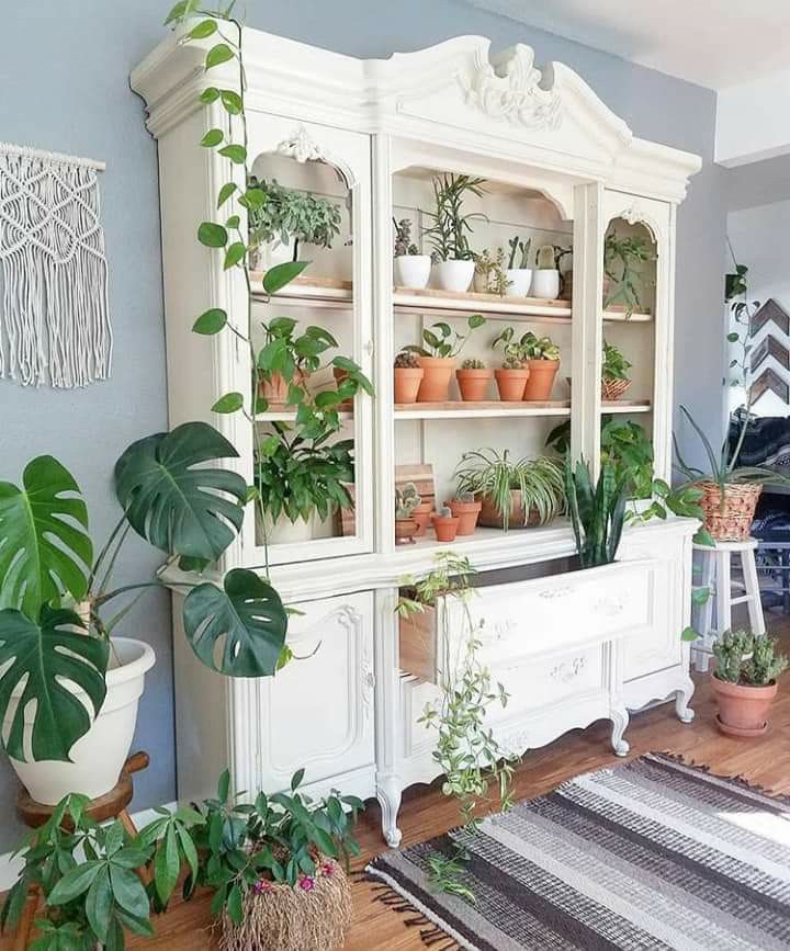 دکوراسیون بوفه