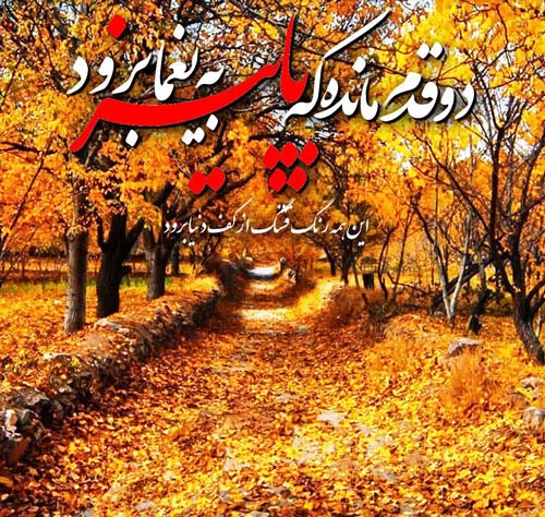 عکس زیبای شعر دو قدم مانده که پاییز به یغما برود - عکسنوشته پایان پاییز - عکس زیبای پاییزی - عکس پاییز برای پروفایل - عکس شعر زیبای پاییزی برای پروفایل 