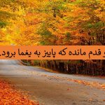 شعر دو قدم مانده که پاییز به یغما برود