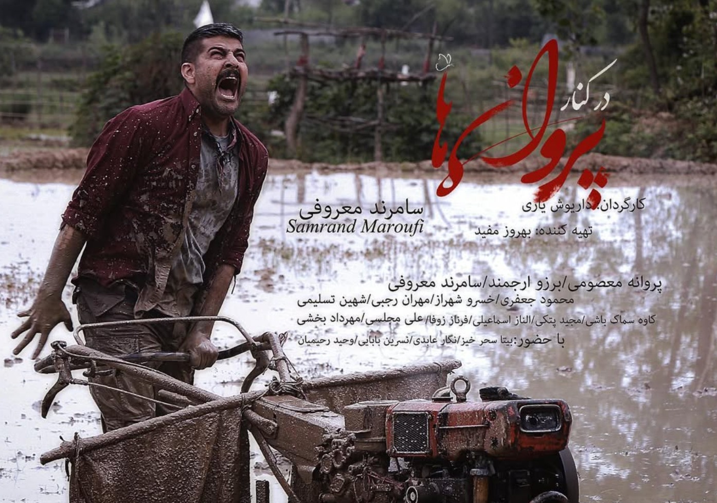 سامرند معروفی در کنار پروانه ها