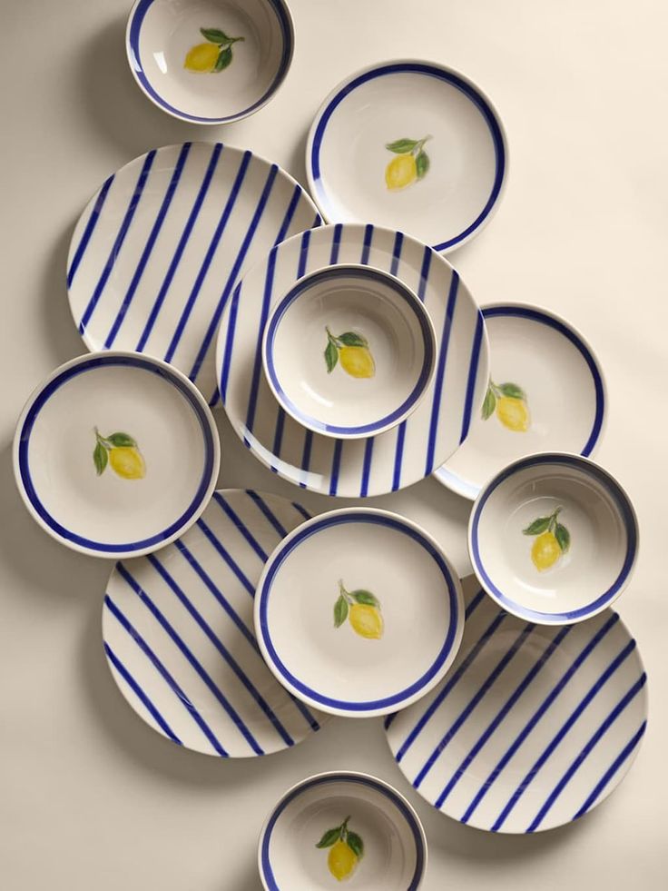 ظروف پذیرایی گل آبی