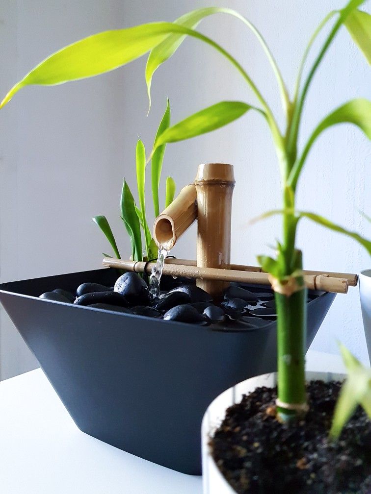 آبنمای خانگی