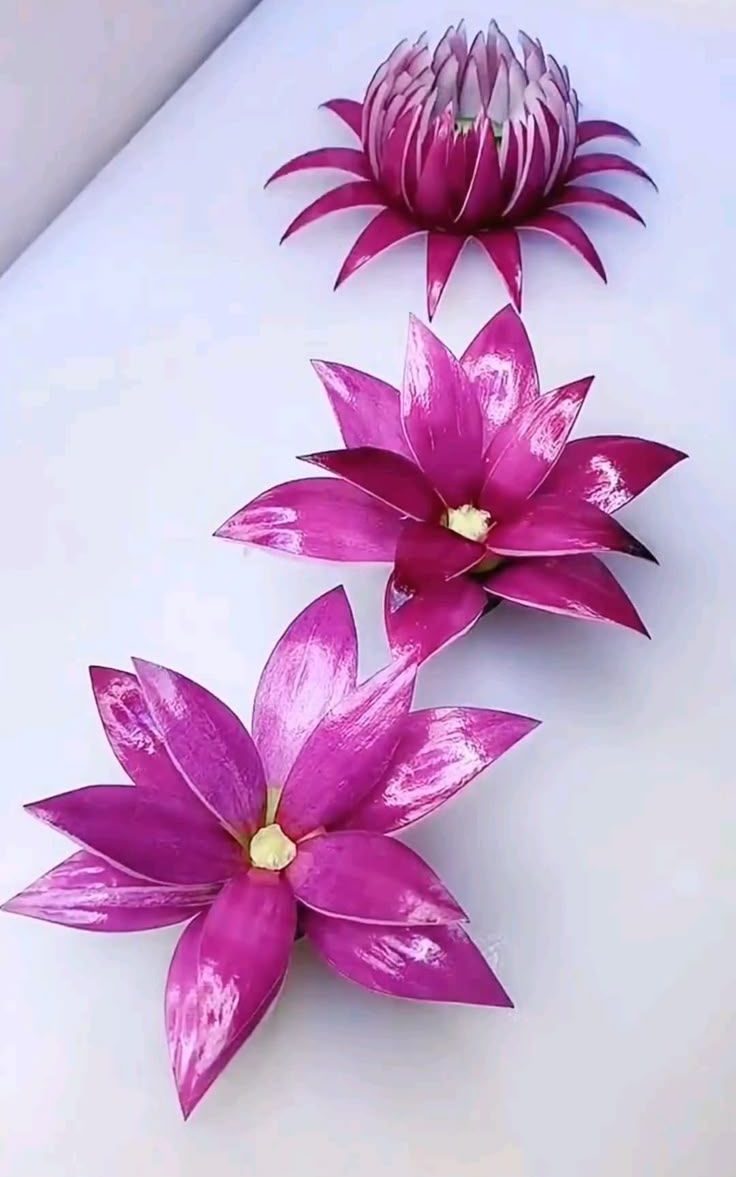 تزیین پیاز کنار غذا