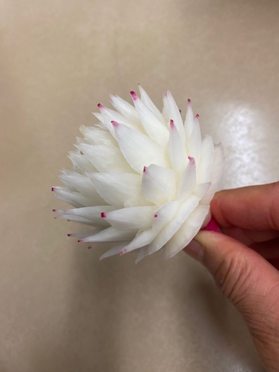 تزیین پیاز کنار غذا