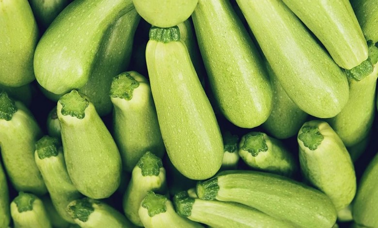 تعبیر خواب کدو سبز - کدو سبز در خواب - معنی دیدن کدو در خواب 