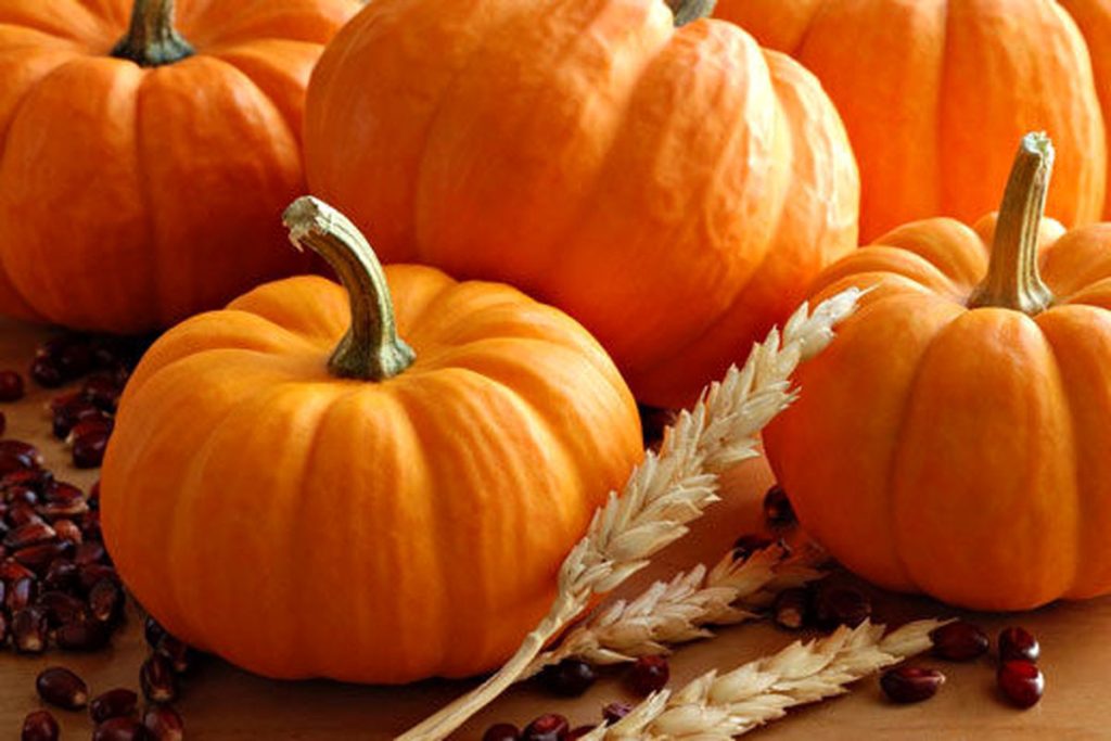 تعبیر خواب کدو تنبلی که قیافه خوبی نداشت