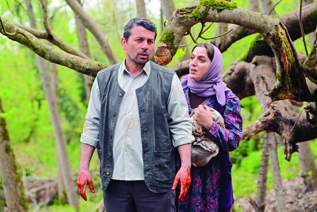 فیلم های مجید پتکی