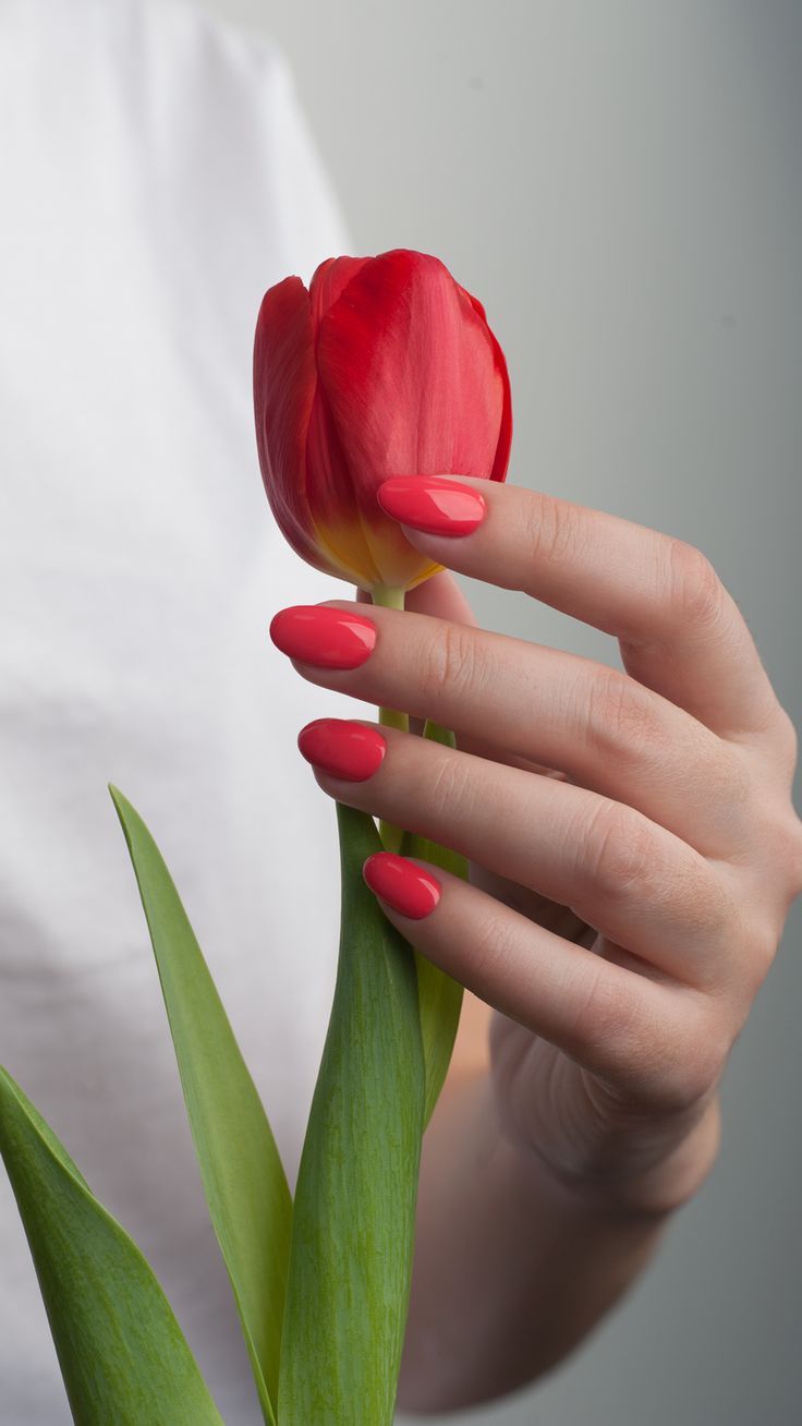 ایده عکاسی ناخن