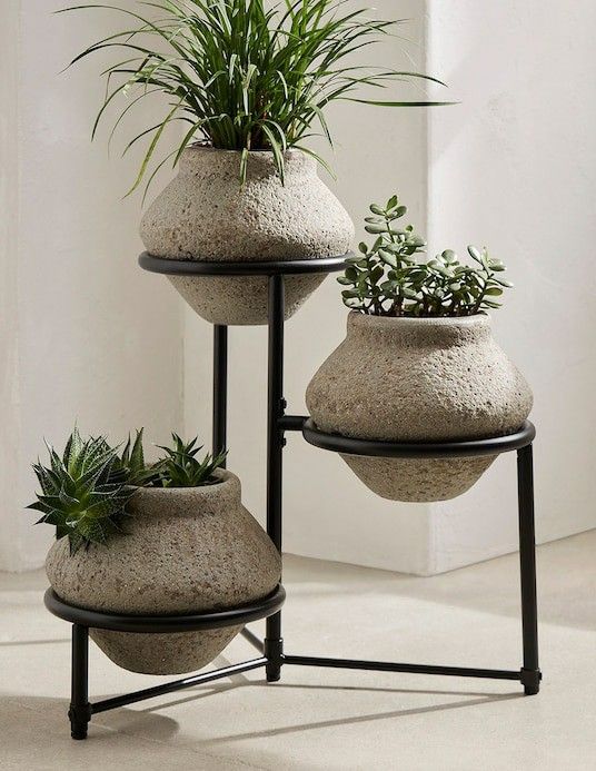 دیزاین پذیرایی با گل طبیعی