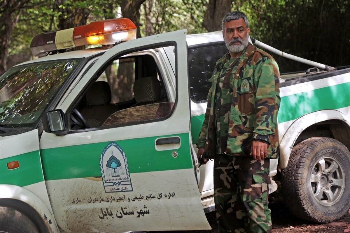 سریال سرخدار چند قسمته - بازیگران سرخدار