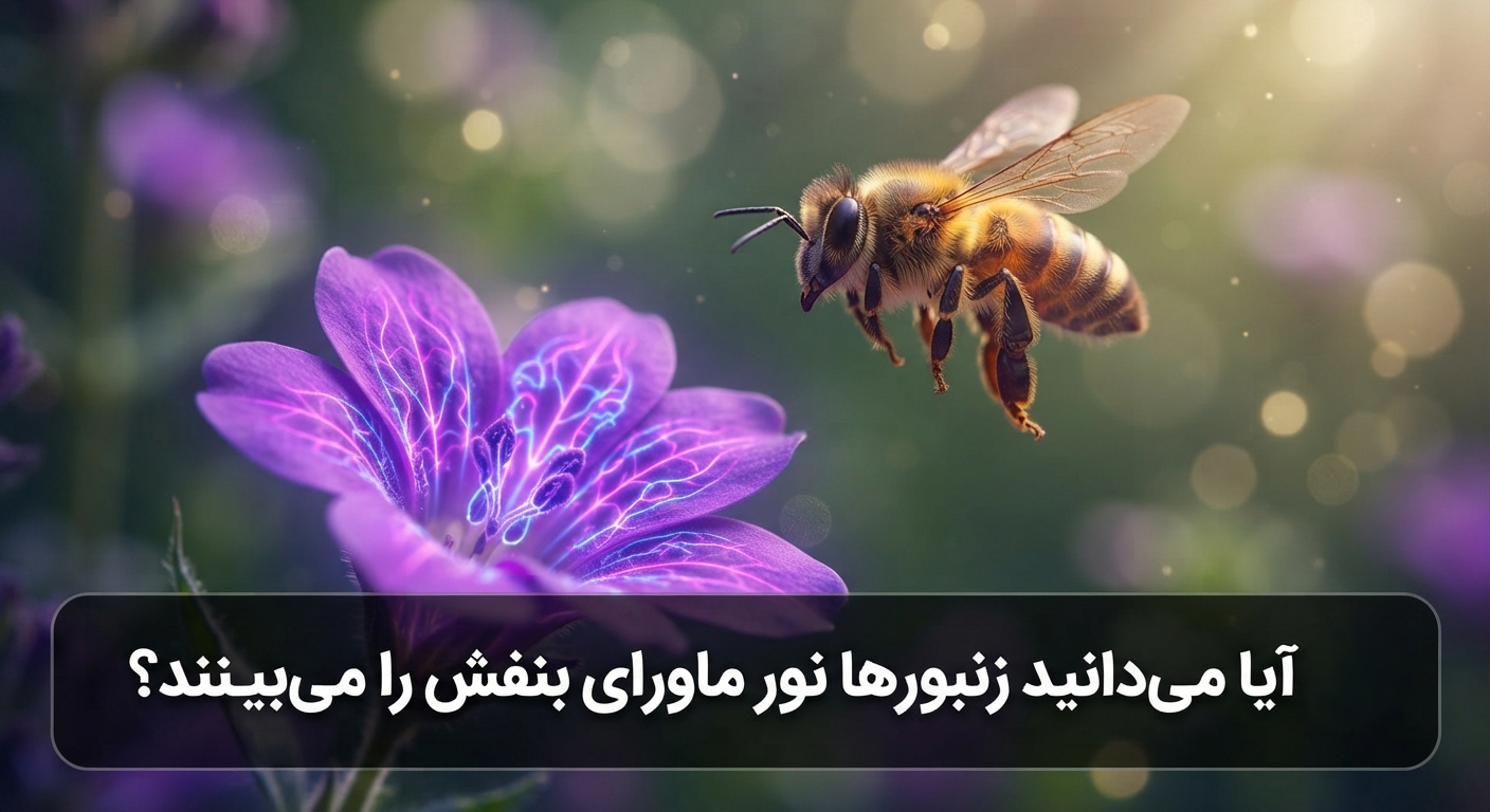 آیا میدانستید درباره زنبور