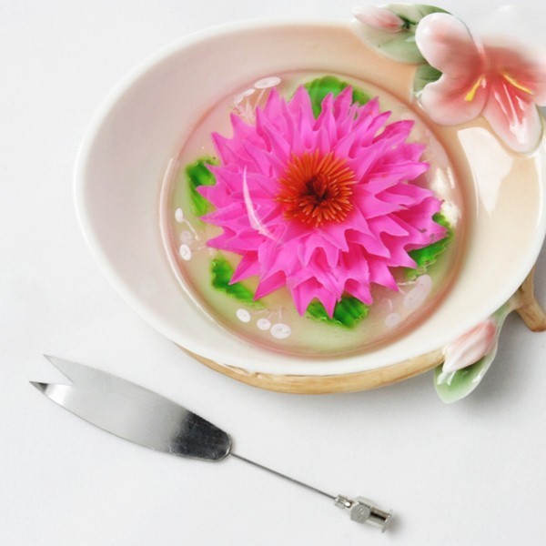 ژله تزریقی
