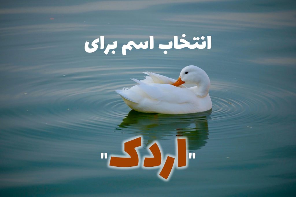اسم اردک خاص