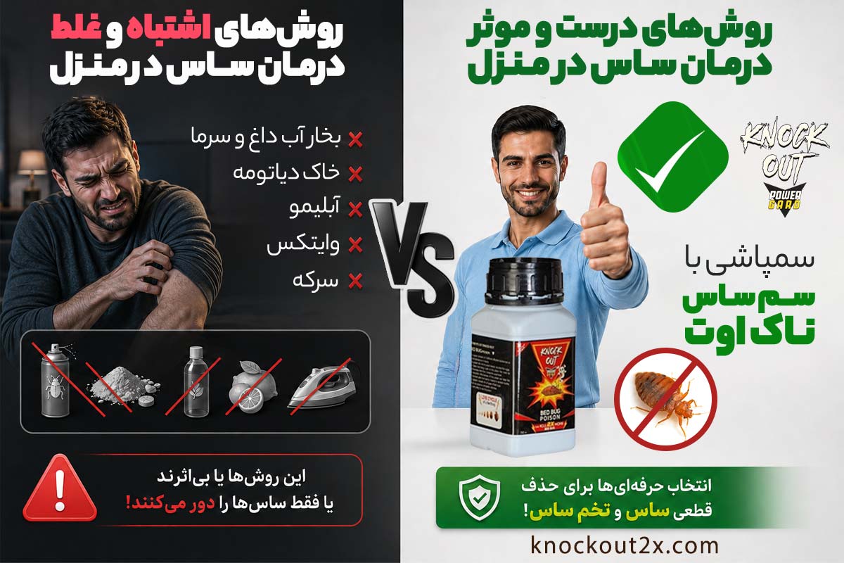 بهترین روش درمان ساس در منزل چیست؟