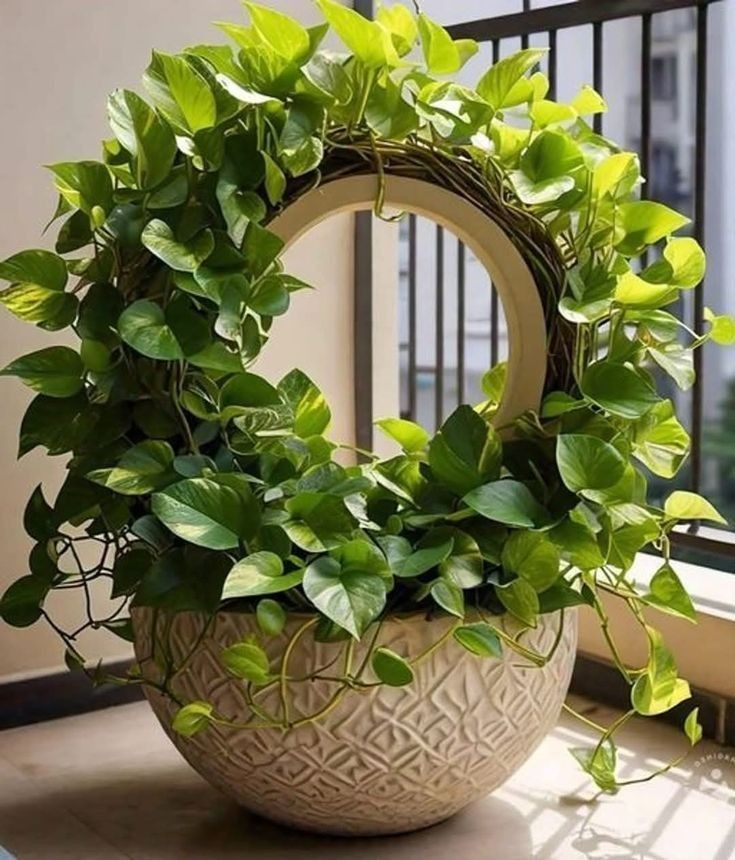 دکور و چیدمان با گیاه پتوس