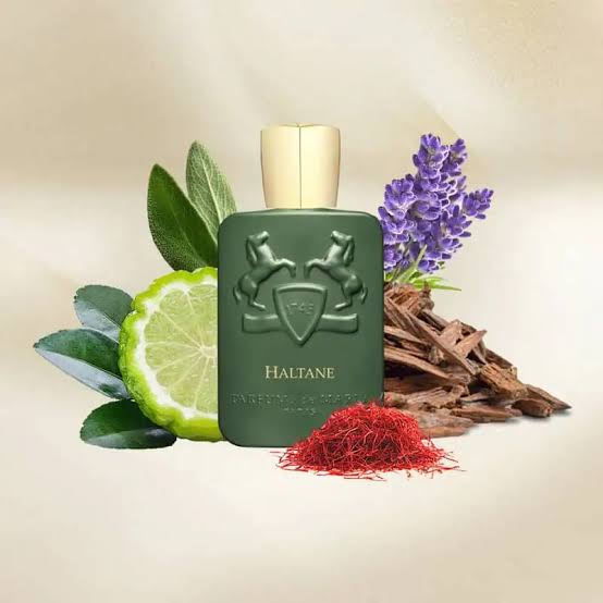 بهترین عطر های پاییزی عطرسان با بهترین قیمت 