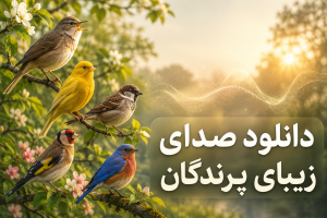 دانلود صدای پرندگان