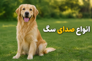 انواع صدای سگ
