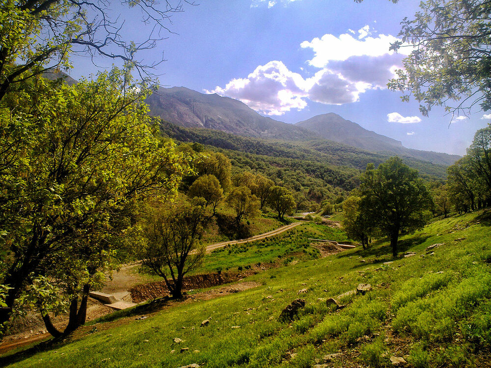 کوه کلنگ گز اعلا کجاست