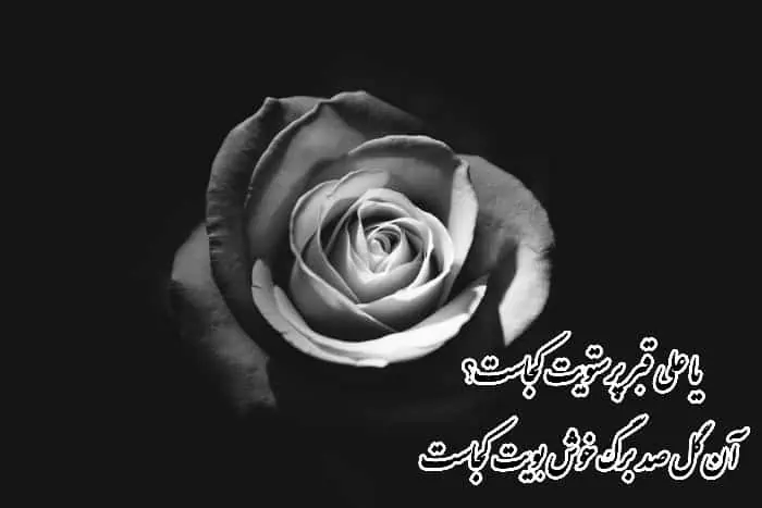 شعر ادبی شهادت حضرت فاطمه