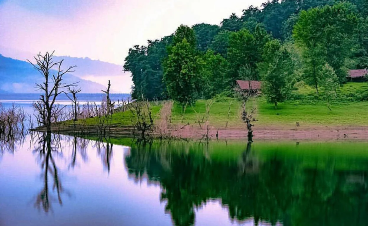 سفر به زیباترین جنگل‌های شمال برای دوستداران طبیعت - image 1