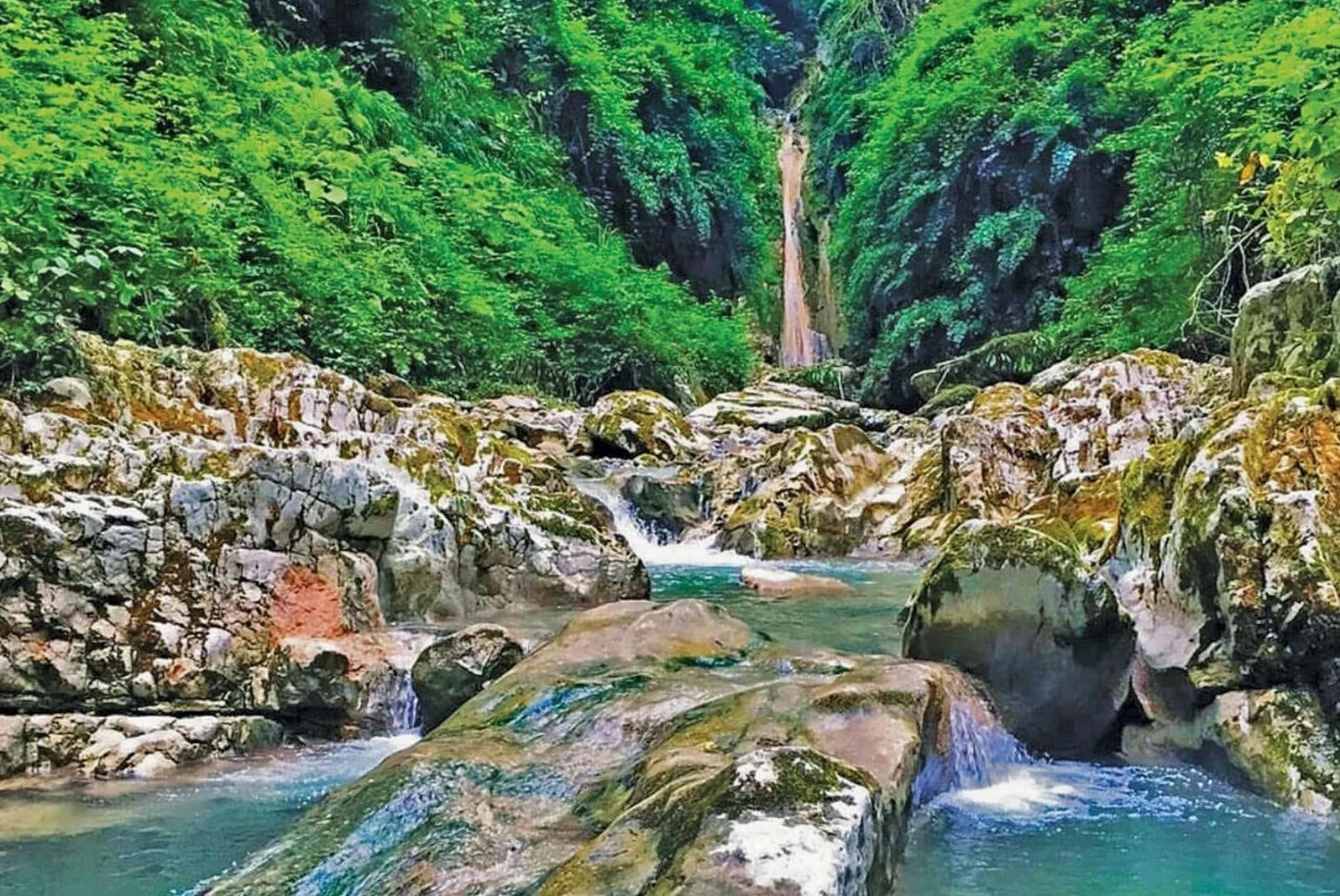 سفر به زیباترین جنگل‌های شمال برای دوستداران طبیعت - image 1