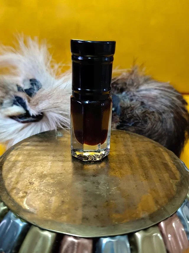 عکس مشک آهو