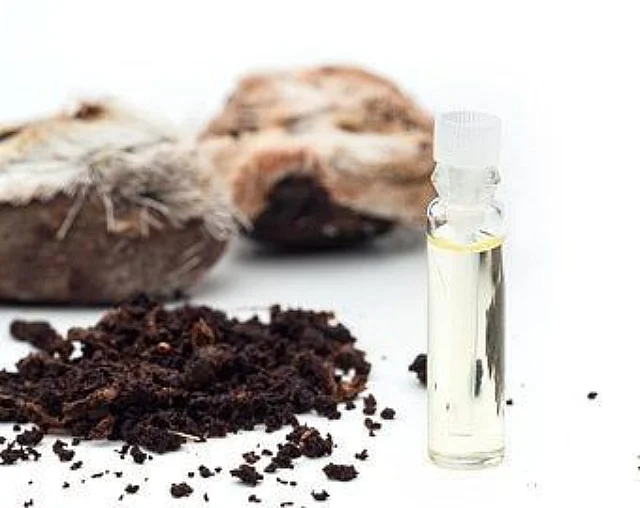 مشک آهو چیست