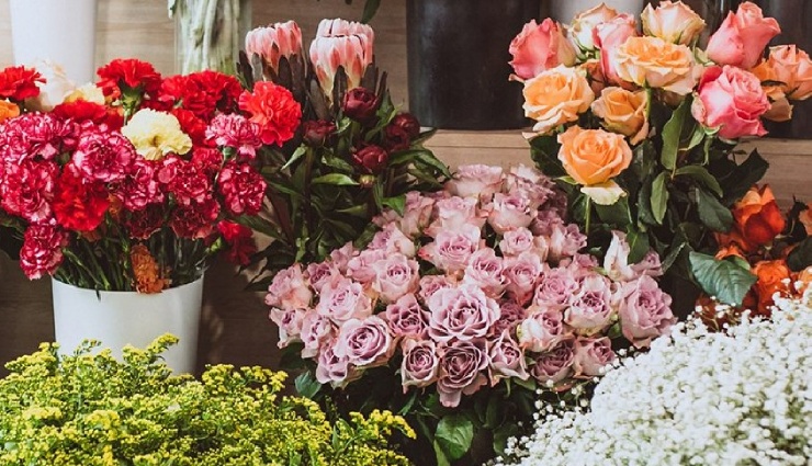 چگونه گل مناسب هر مناسبت را انتخاب کنیم؟ تولد، عیادت، تبریک شغلی