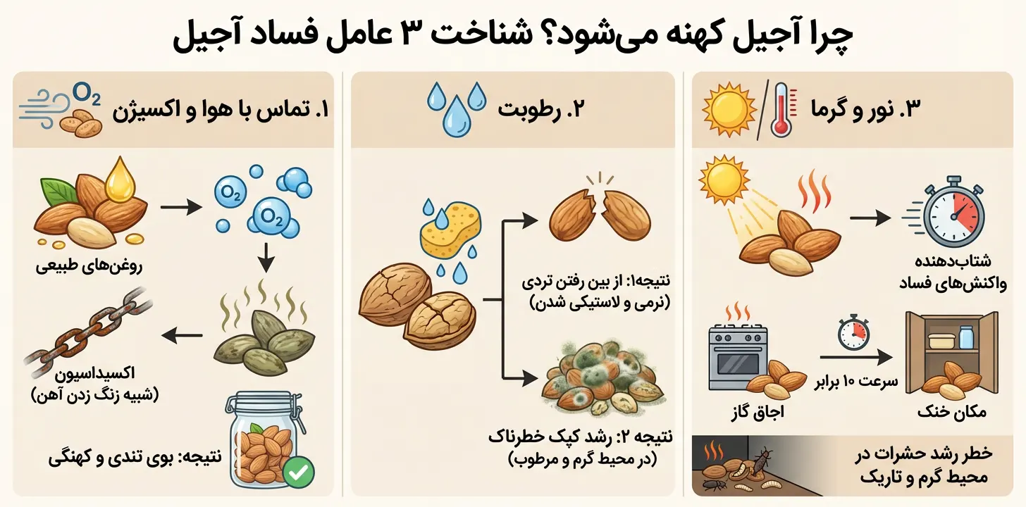 شناخت ۳ عامل فساد آجیل