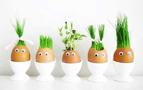 سبزه عید - سبزه با تخم مرغ - مدل های سبزه عید - سبزه ی عید - سبز کردن سبزه - sabze