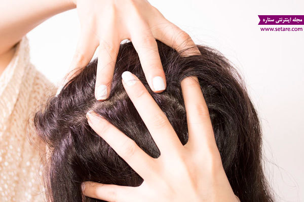 درمان ریزش مو، حجم دادن مو، پرپشت کردن مو، موی پرپشت، پر پشت شدن ابرو، ماساژ سر
