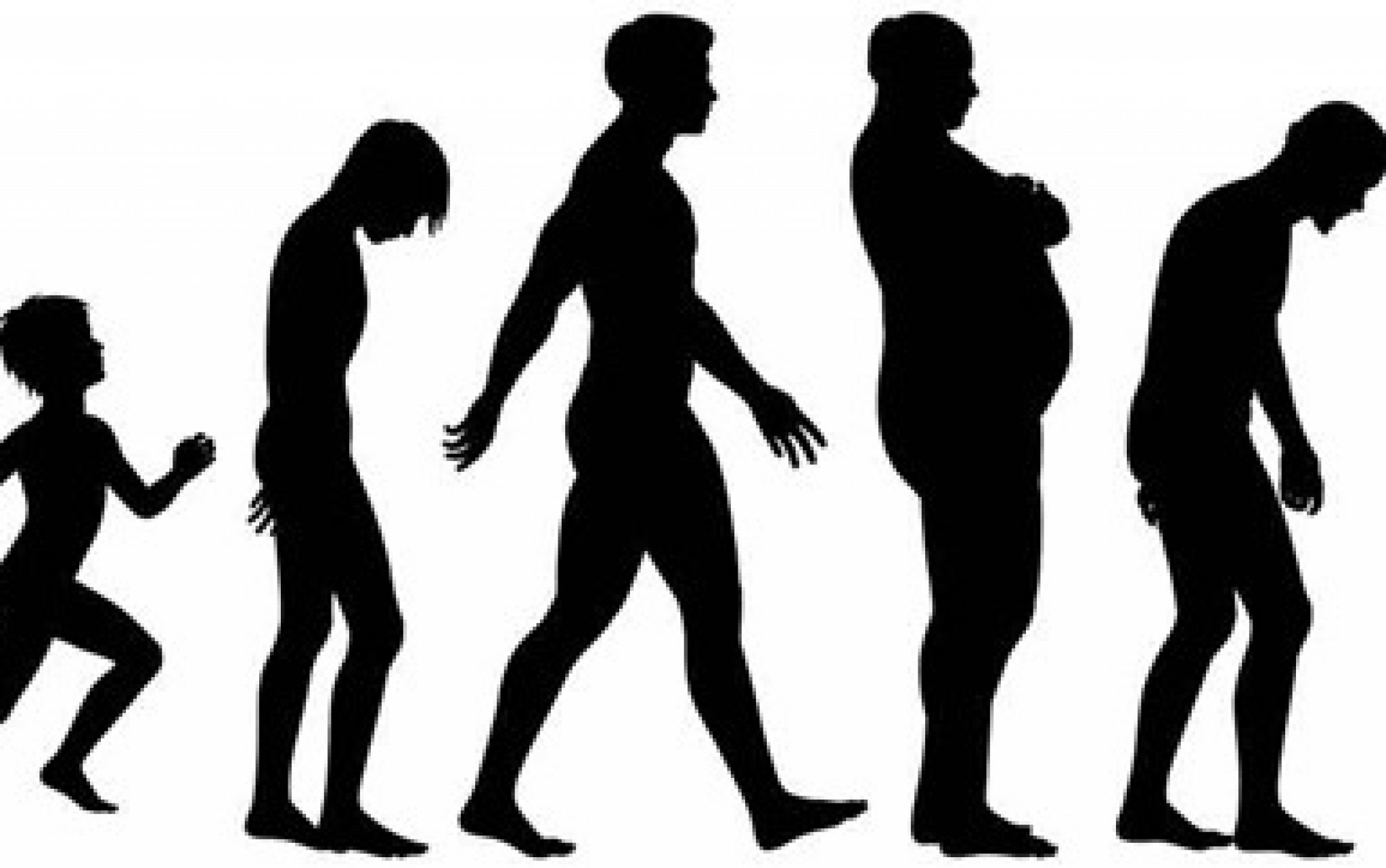 Эволюция как стать сильнее. Эволюция человека. Тестирование по истории 5 класс древние люди. Эволюция обезьяны в человека. Коррело эволюция.