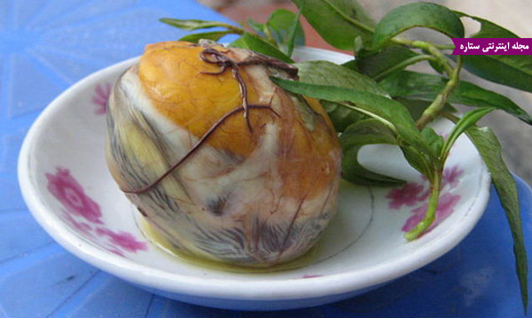 عکس عجیب ترین و چندش آورترین غذاهای جهان! - بالوت - تخم اردک جنین شده