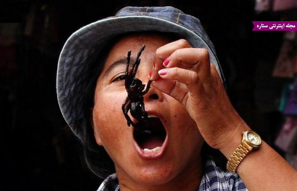 رتیل سوخاری - خوردن حشرات زنده - مار و عقرب اسپایسی و سوخاری - غذاهای کامبوج