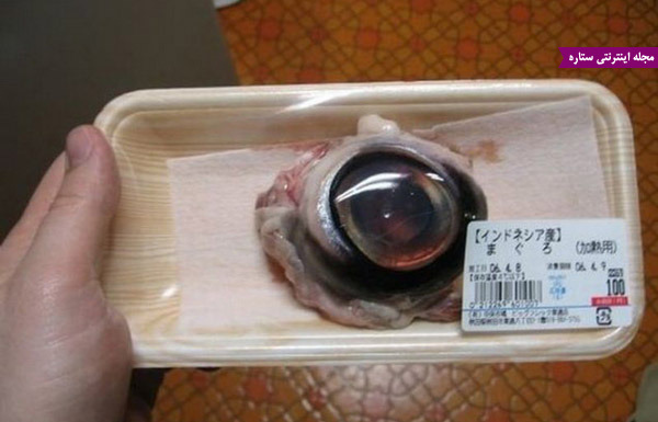 چشم ماهی تن - کره چشم ماهی - خوردن چشم ماهی