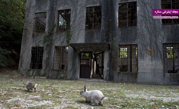 هیروشیما، جزیره خرگوش، ژاپن، کارخانه گازهای سمی