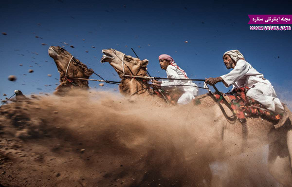 مسابقه شتر سواری، مسابقه عکاسی، عکس مسافر، شتر، عربستان، کویر