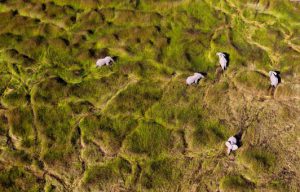 عکس مسافر نشنال جئوگرافیک