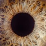 عکاسی ماکرو از عنبیه چشم انسان