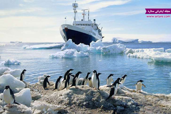 سفرهای زمستانی، پنگوئن، قطب جنوب، جاذبه های گردشگری ، تعطیلات زمستانی
