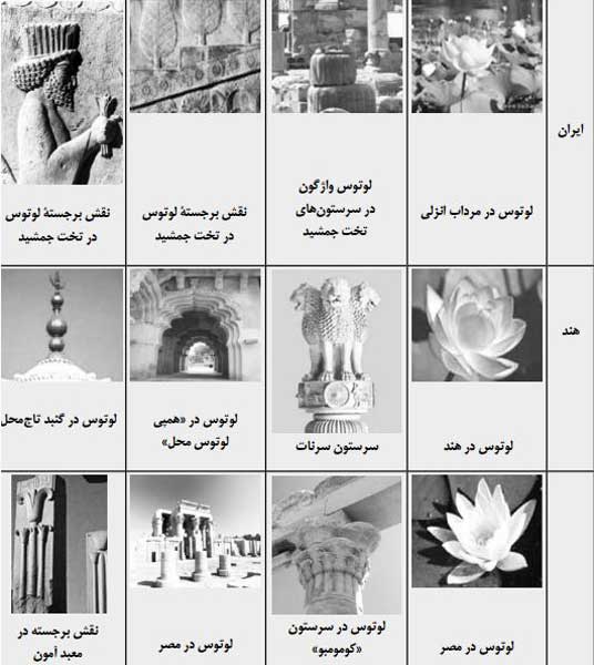 گل نیلوفر نماد چیست؟ - نماد گل نیلوفر در ایران باستان - نیلوفر مظهر چیست 