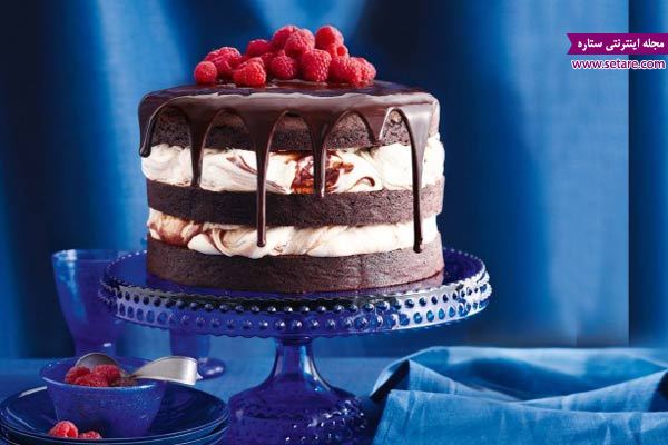 طرز تهیه کیک، پخت کیک، کیک تولد، کیک شکلاتی، کیک ساده، کیک میوه ای،کیک اسفنجی، عکس کیک