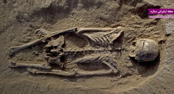 فسیل انسان - فسیل - فسیل شناسی - تشکیل فسیل - عکس فسیل انسان - fossil - human fossil