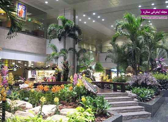 فرودگاه های بزرگ و مدرن-مجللترین فرودگاه های دنیا-فرودگاه سنگاپور