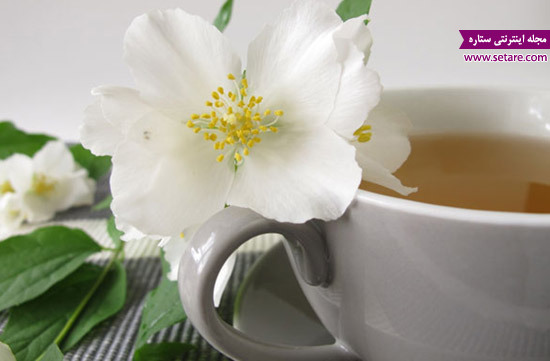 خواص چای سفید - چای سفید چیست - قیمت چای سفید