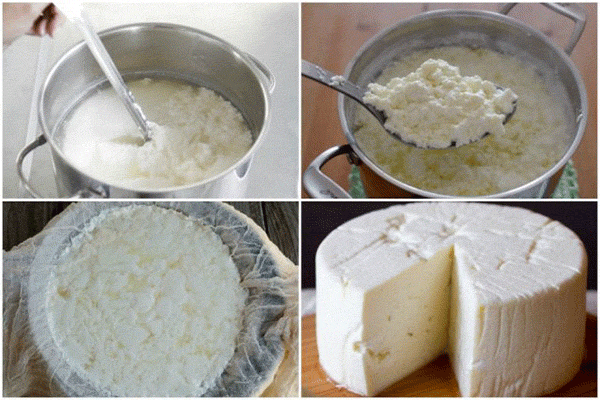 طرز تهیه پنیر خانگی 