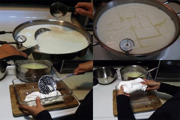 مراحل تهیه پنیر موزارلا خانگی 