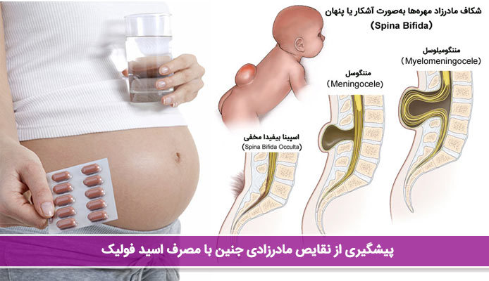 مصرف اسید فولیک در بارداری